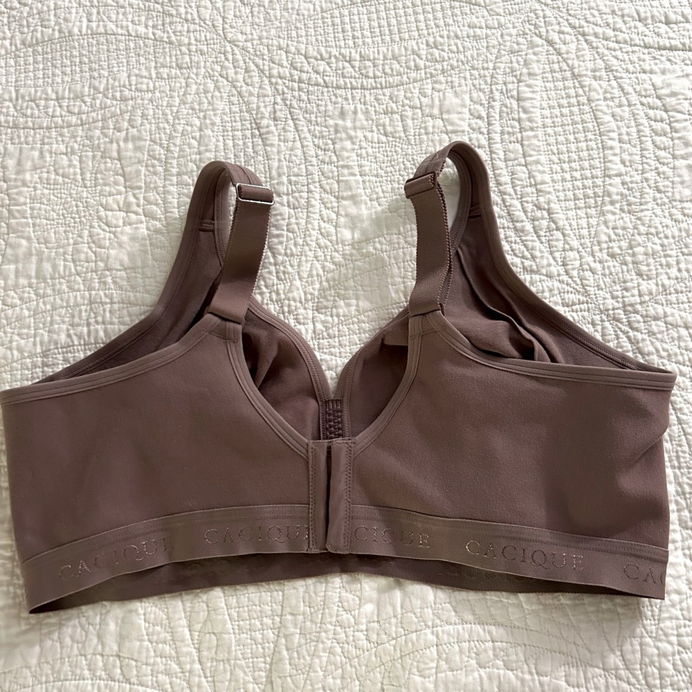 Cotton Unlined No-Wire Bra. Size 42DD. Deep Taupe. New but no tags